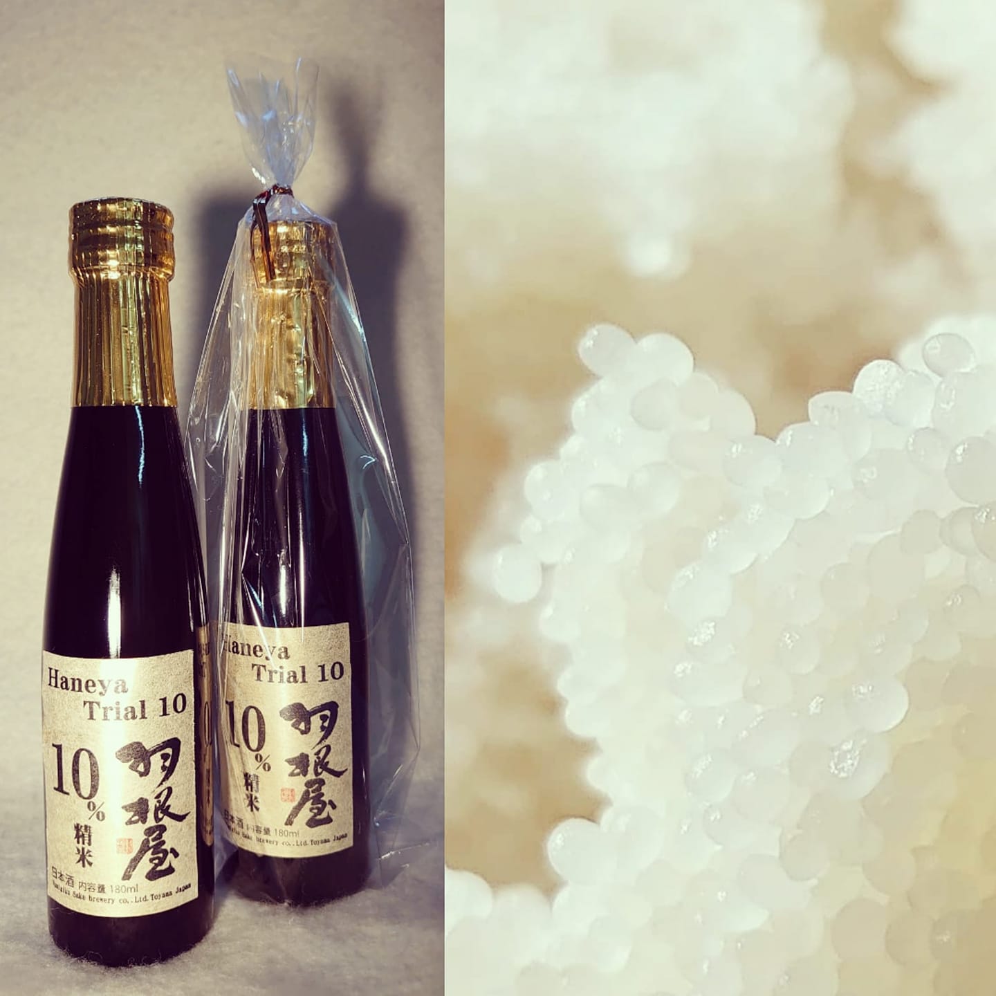 羽根屋蔵初の10%精米のお米で醸した「羽根屋トライアル10」限定発売