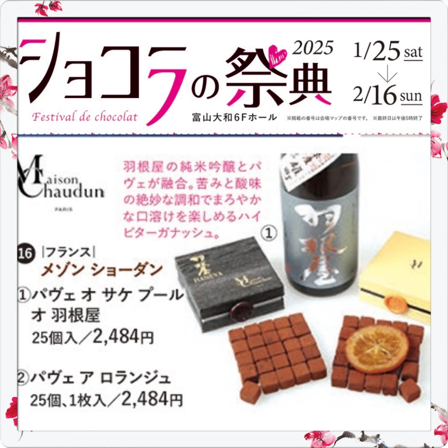 475193795_1169245861870774_827