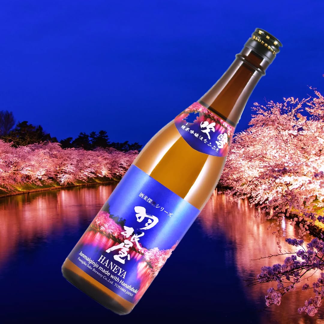 476484997_18483700540003575_50