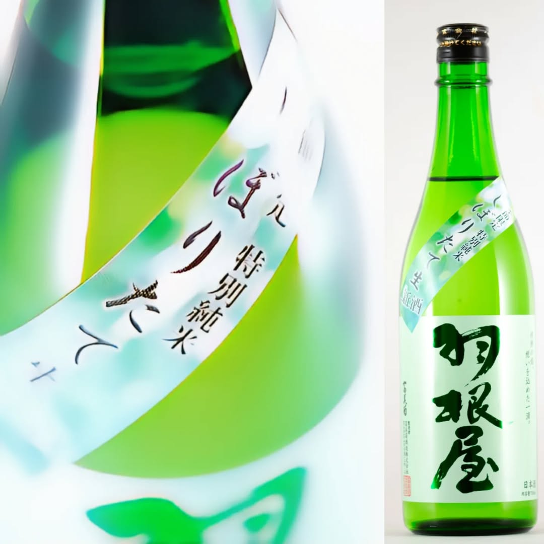 春の限定品第一弾！「羽根屋特別純米 しぼりたて生」 – 富美菊酒造