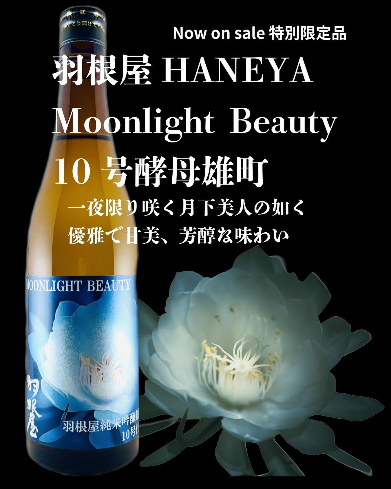 羽根屋MOONLIGHT BEAUTY』特別数量限定発売中！ – 富美菊酒造（羽根屋）